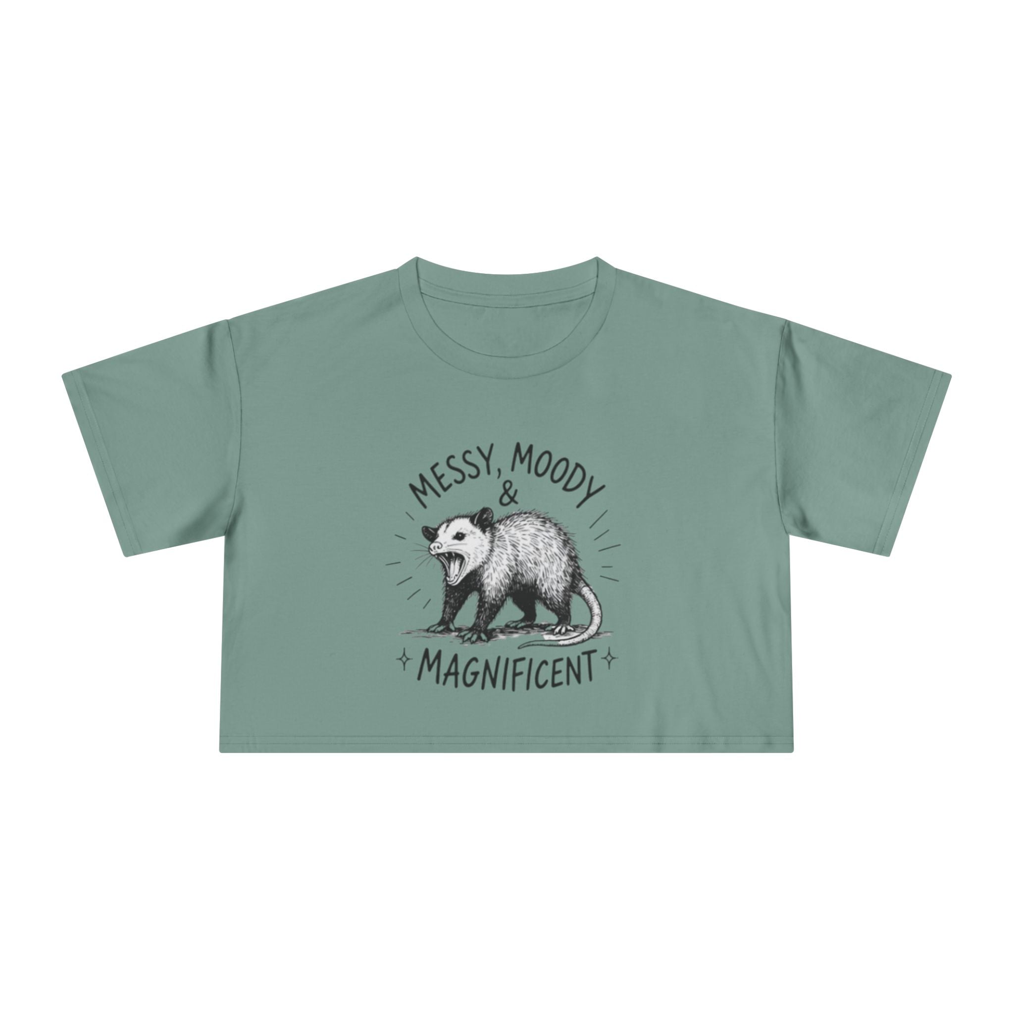 Crop Tee | Messy Moody & Magnificent Opossum Graphic