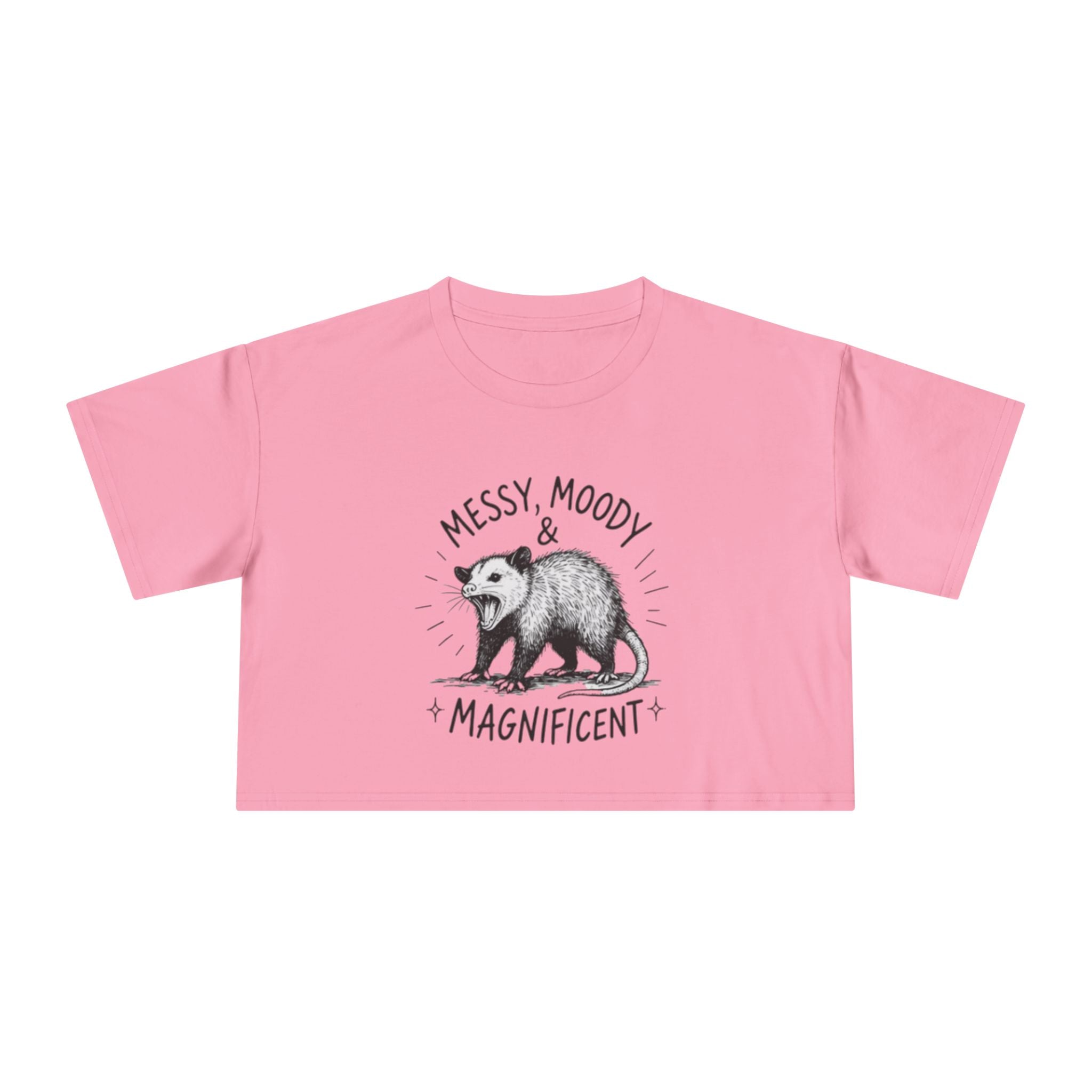Crop Tee | Messy Moody & Magnificent Opossum Graphic